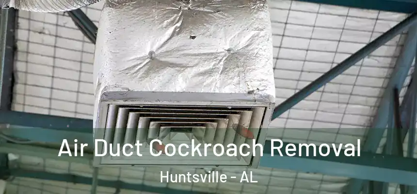 Air Duct Cockroach Removal Huntsville - AL