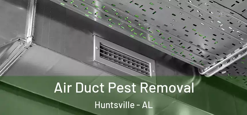 Air Duct Pest Removal Huntsville - AL