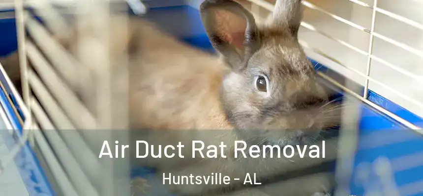 Air Duct Rat Removal Huntsville - AL
