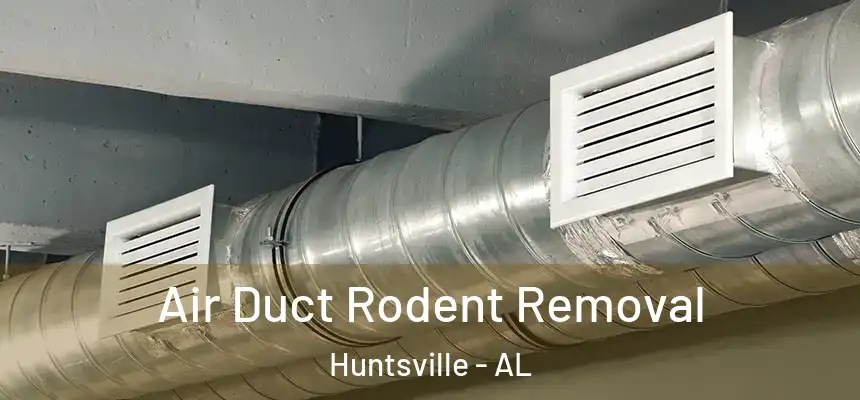 Air Duct Rodent Removal Huntsville - AL