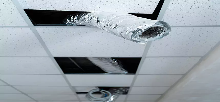 Our Air Duct Pet Hair Removal Services in Huntsville, AL