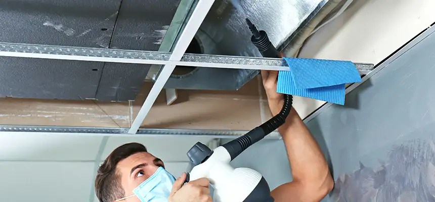 Our Air Duct Rodent Removal Services in Huntsville, AL