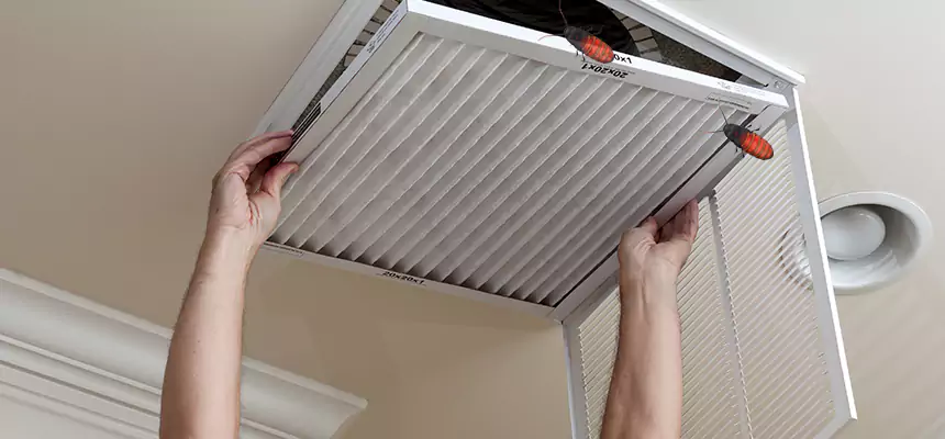 Our Insect Removal from Air Ducts Services in Huntsville, AL