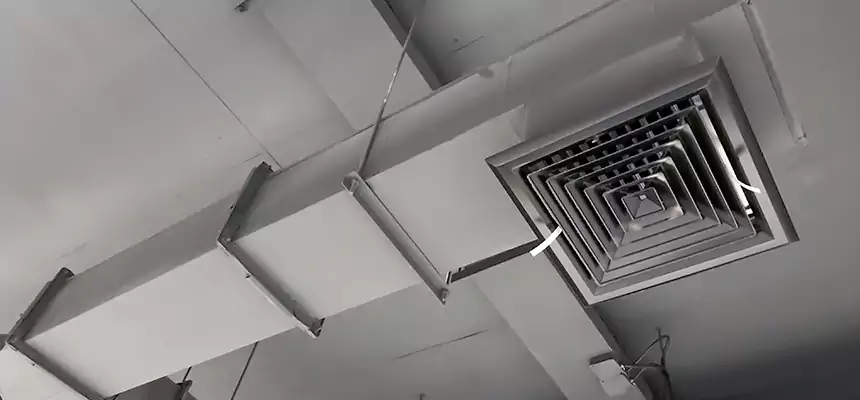 Our Rodent Droppings In Vents Services in Huntsville, AL