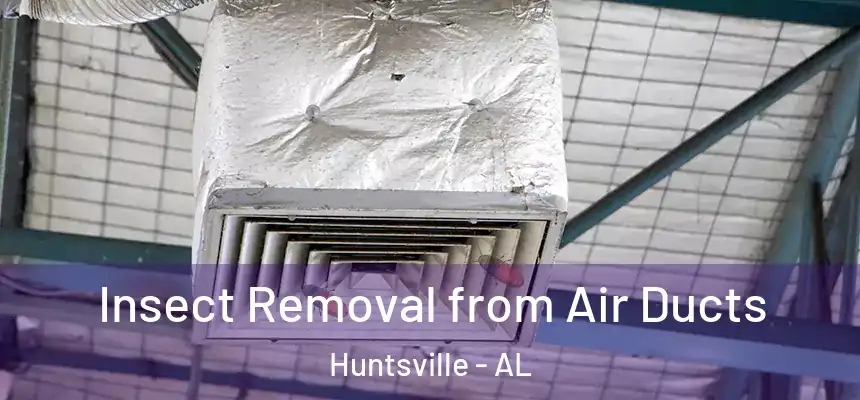 Insect Removal from Air Ducts Huntsville - AL