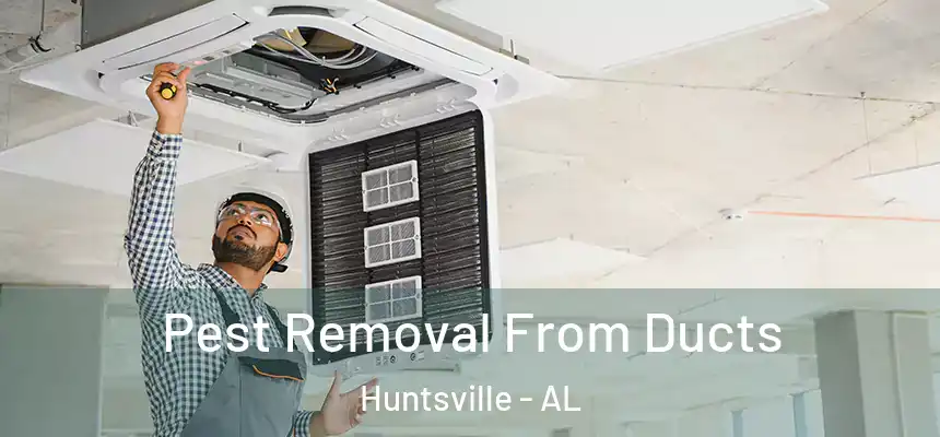 Pest Removal From Ducts Huntsville - AL