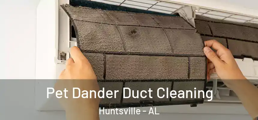 Pet Dander Duct Cleaning Huntsville - AL