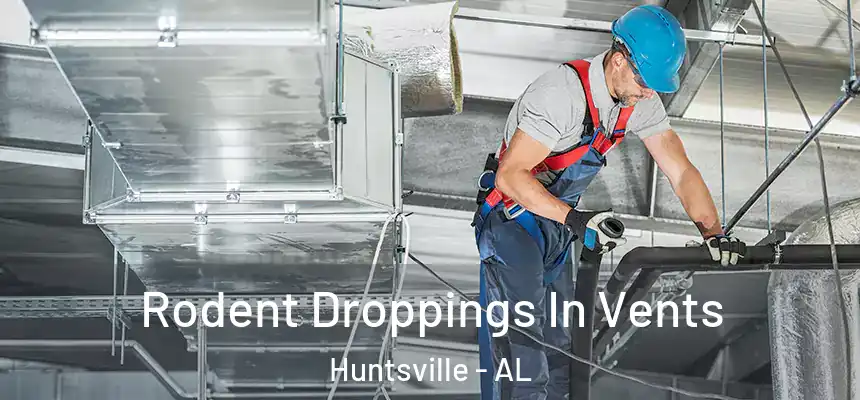 Rodent Droppings In Vents Huntsville - AL