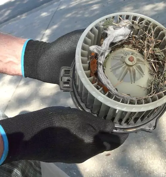 About Air Duct Mice Removal in Huntsville, AL