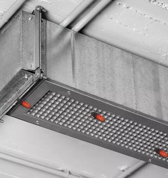 Affordable Insect Removal from Air Ducts in Huntsville, AL
